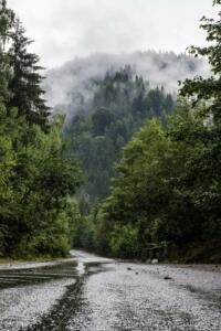 Foto de uma estrada úmida, ladeada de árvores, em direção a uma montanha com vegetação densa e coberta por um nevoeiro esbranquiçado